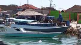 Foto: Dari APMS Ke Perahu di angkut Odong-Odong
